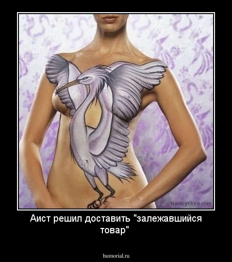 Аист решил доставить "залежавшийся товар"