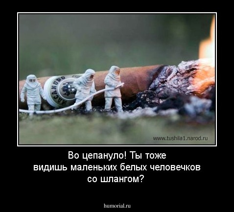 Во цепануло! Ты тоже видишь маленьких белых человечков со шлангом?