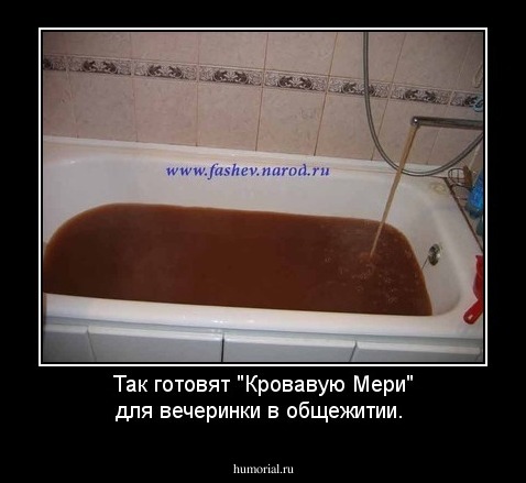 Так готовят "Кровавую Мери" для вечеринки в общежитии.