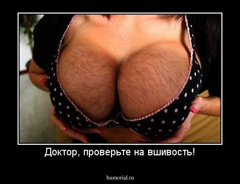 Доктор, проверьте на вшивость!
