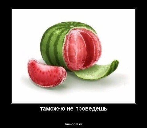 таможню не проведешь