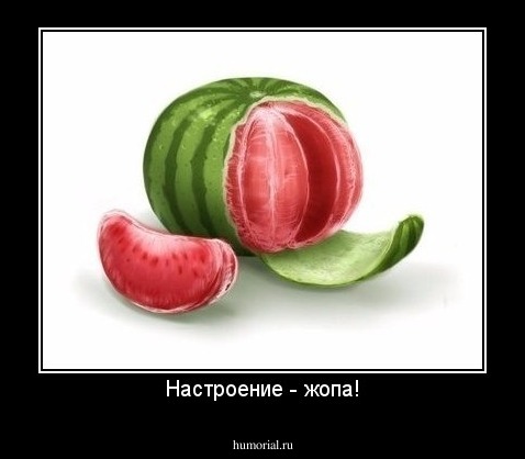 Настроение - жопа!