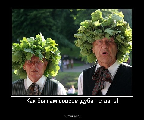 Как бы нам совсем дуба не дать!