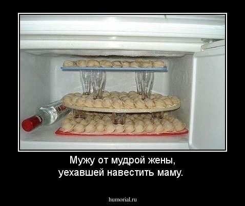 Мужу от мудрой жены, уехавшей навестить маму.