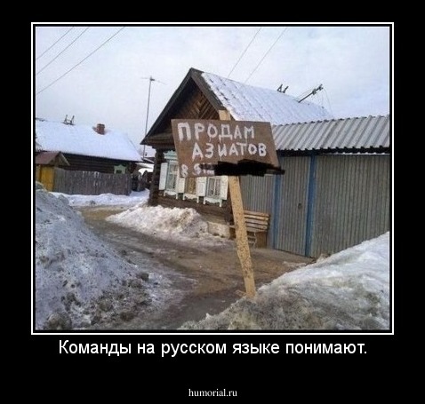 Команды на русском языке понимают.