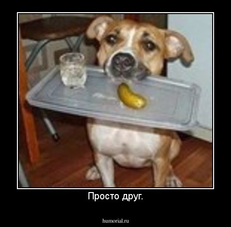 Просто друг.