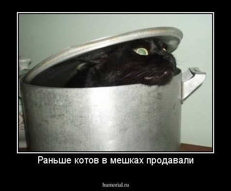 Раньше котов в мешках продавали