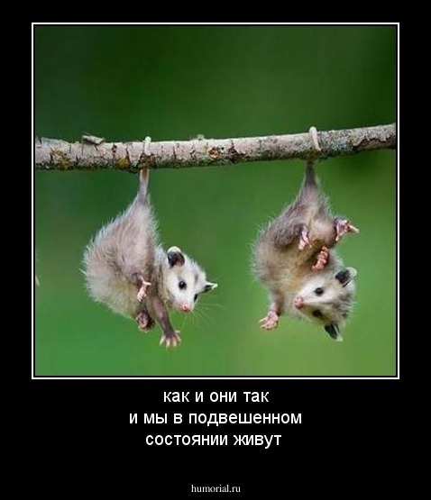 как и они так и мы  в подвешенном состоянии живут