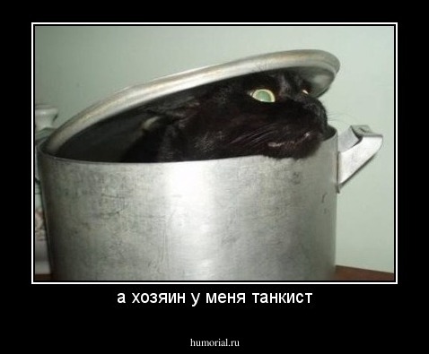 а хозяин у меня танкист