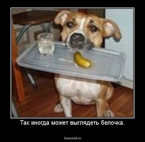 Так иногда может выглядеть белочка.