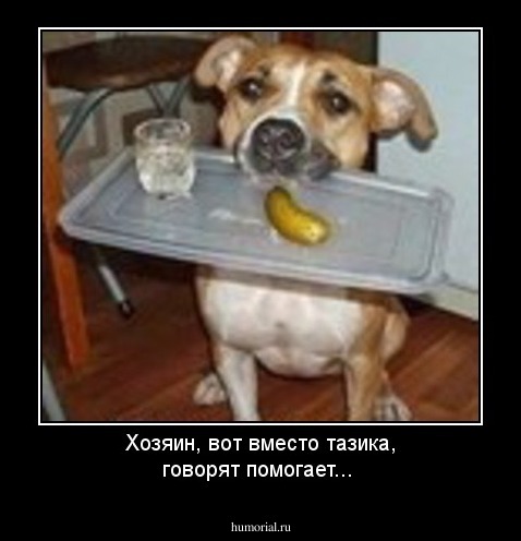 Хозяин, вот вместо тазика, говорят помогает...
