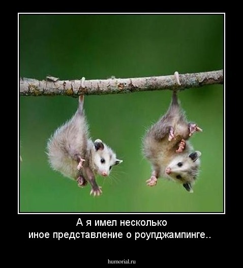 А я имел несколько иное представление о роупджампинге..