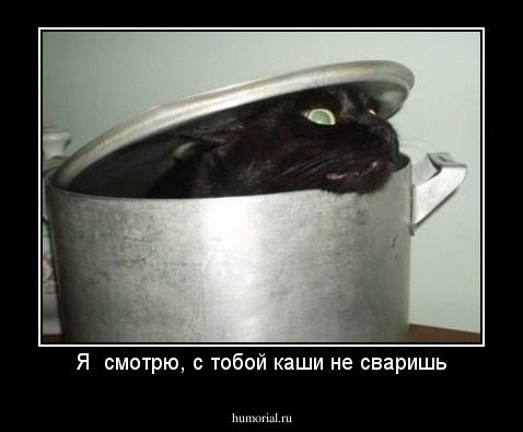 Я  смотрю, с тобой каши не сваришь