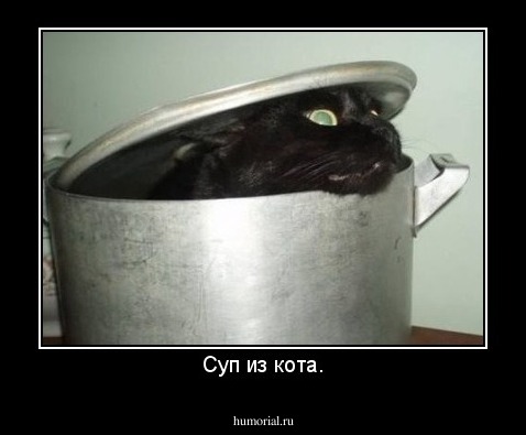 Суп из кота.