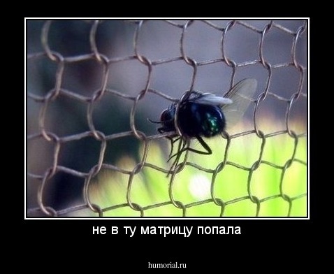  не в ту матрицу попала 