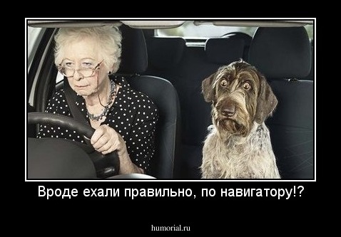 Вроде ехали правильно, по навигатору!?
