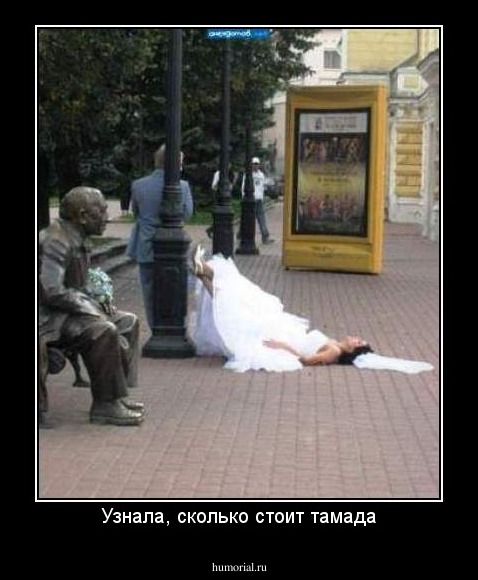Узнала, сколько стоит тамада