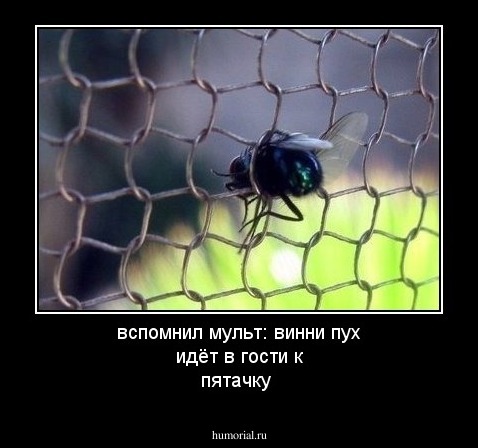 вспомнил мульт: винни пух идёт в гости к пятачку