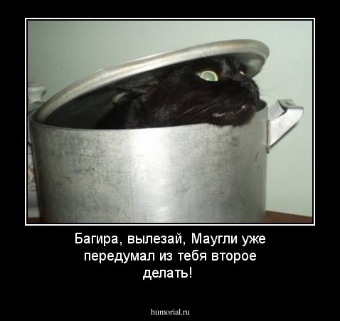 Багира, вылезай, Маугли уже передумал из тебя  второе делать!