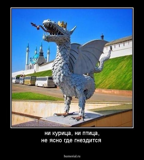 ни курица, ни птица, не ясно где гнездится