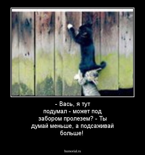 - Вась, я тут подумал - может под забором пролезем?                                                               - Ты думай меньше, а подсаживай больше!            