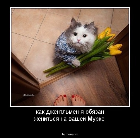 как джентльмен я обязан жениться на вашей Мурке