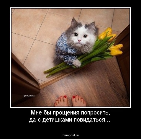 Мне бы прощения попросить, да с детишками повидаться...