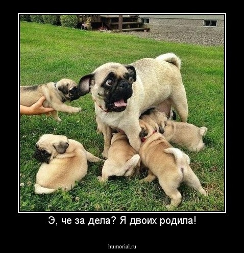 Э, че за дела? Я двоих родила!