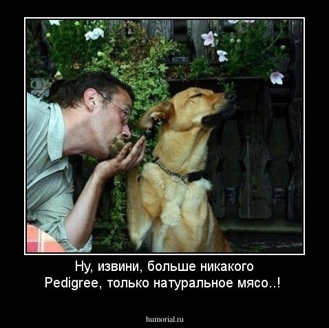 Ну, извини, больше никакого Pedigree, только натуральное мясо..!