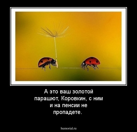 А это ваш золотой парашют, Коровкин, с ним и на пенсии не пропадете.