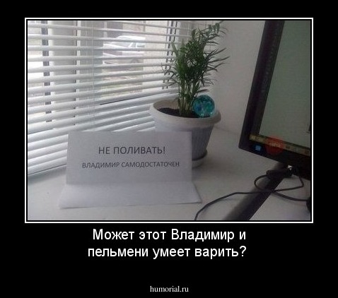 Может этот Владимир и пельмени умеет варить?