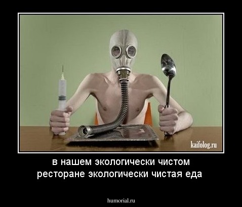 в нашем экологически чистом ресторане экологически чистая еда 
