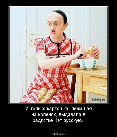 И только картошка, лежащая на коленях, выдавала в радистке Кэт русскую.