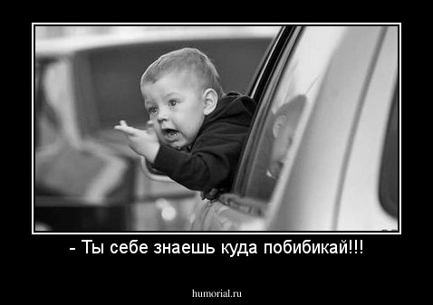 - Ты себе знаешь куда побибикай!!!