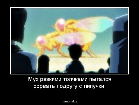 Мух резкими толчками пытался сорвать подругу с липучки