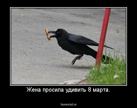 Жена просила удивить 8 марта.