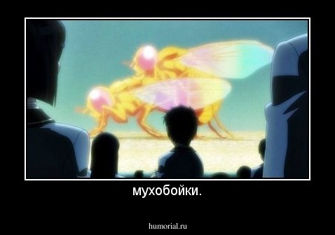 мухобойки.