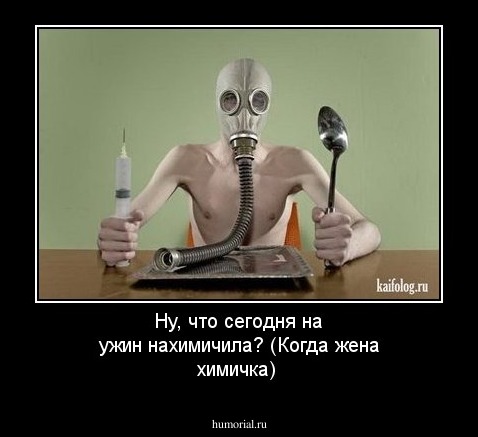 Ну, что сегодня на ужин нахимичила?                                 (Когда жена химичка)