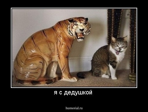я с дедушкой 