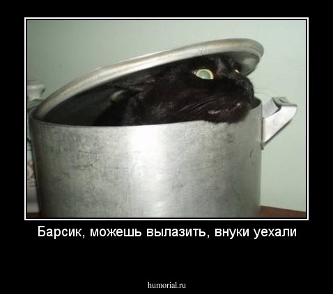 Барсик, можешь вылазить, внуки уехали
