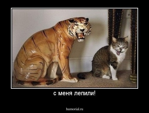 с меня лепили!