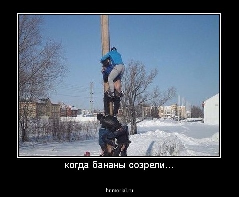 когда бананы созрели...