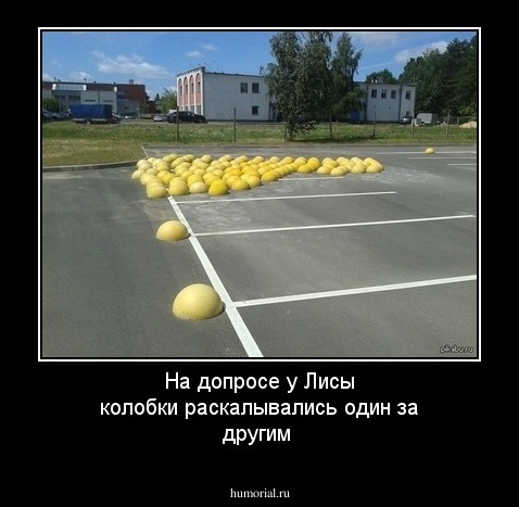 На допросе у Лисы колобки раскалывались один за другим
