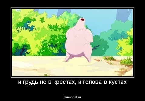 и грудь не в крестах, и голова в кустах