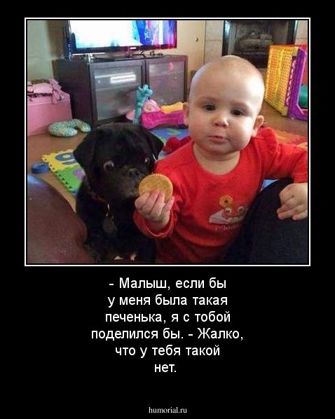 - Малыш, если бы у меня была такая печенька, я с тобой поделился бы.
- Жалко, что у тебя такой нет.
