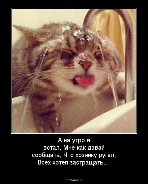 А на утро я встал,
Мне как давай сообщать,
Что хозяйку ругал,
Всех хотел застращать... 