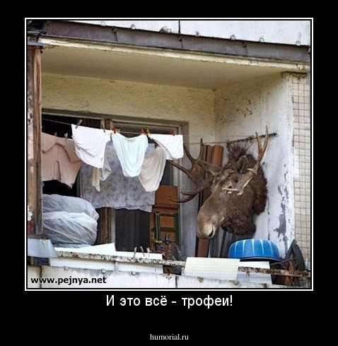 И это всё - трофеи!