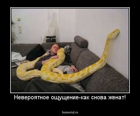 Невероятное ощущение-как снова женат!
