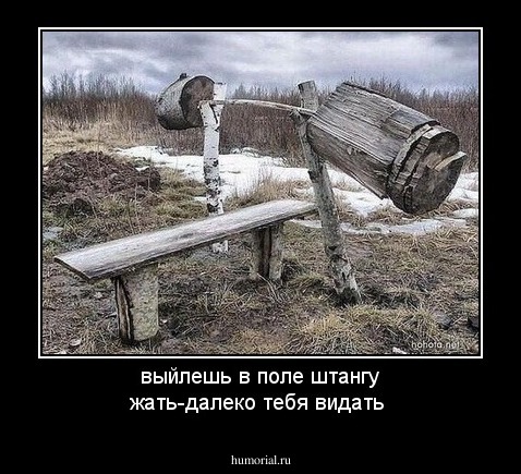 выйлешь в поле штангу жать-далеко тебя видать