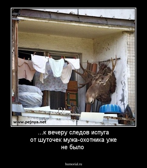 ...к вечеру следов испуга от шуточек мужа-охотника уже не было